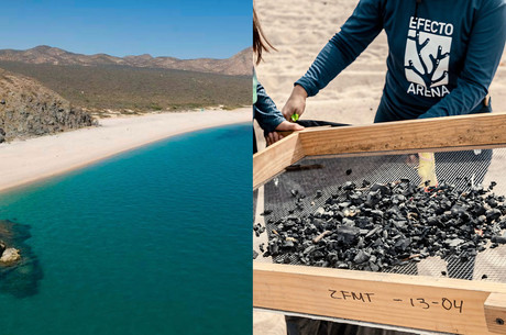 Playas de La Paz recibirán limpiezas mensuales para reducir la contaminación
