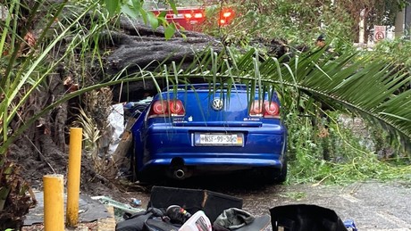 Cae árbol sobre auto con familia, rescataron a bebé y papá pero la mamá murió
