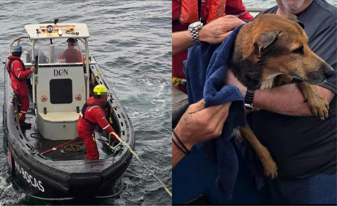 Rescatan a perrito en el Golfo de México. Foto: Redes Sociales