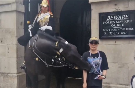 ¡Ouch! Turista sufre desmayo tras ser mordida por caballo de Guardia Real