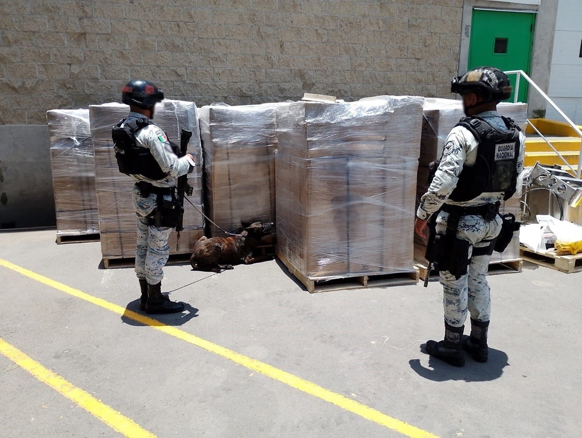 Elementos de la Guardia Nacional custodian las sustancias ilícitas aseguradas. Foto: Facebook Guardia Nacional