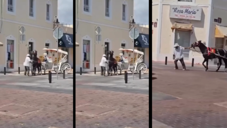 Captan a chofer de calesa golpeando a caballo en el Centro de Mérida (Video)