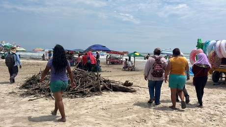 Troncos, palizada y lirio continúan afectando a Playa Miramar