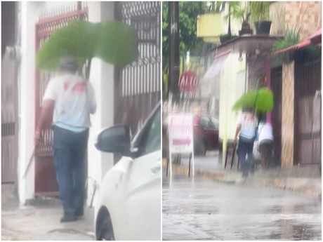 ¡Como Totoro! Hombre usa hoja gigante para cubrirse de la lluvia (VIDEO)