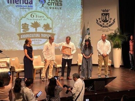 Mérida es reconocida como Ciudad Árbol por quinto año consecutivo