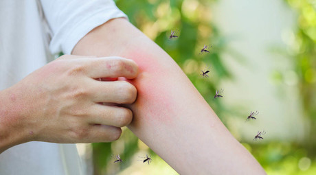 Suma Coahuila más de 100 casos de dengue; así es como puedes prevenirlo