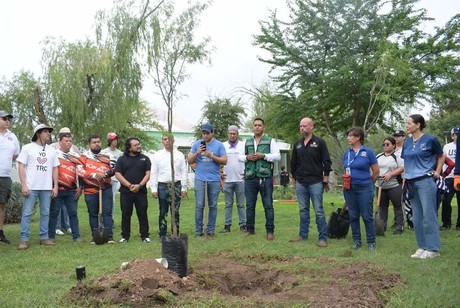 Con 80 árboles, reforestan Bosque Urbano en Torreón