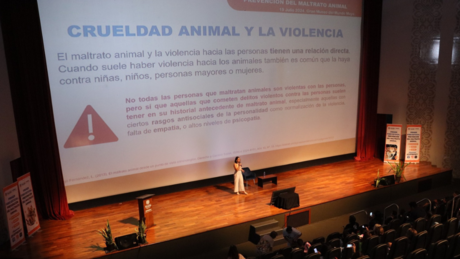 Realizan el primer foro estatal: Prevención del maltrato animal en Yucatán