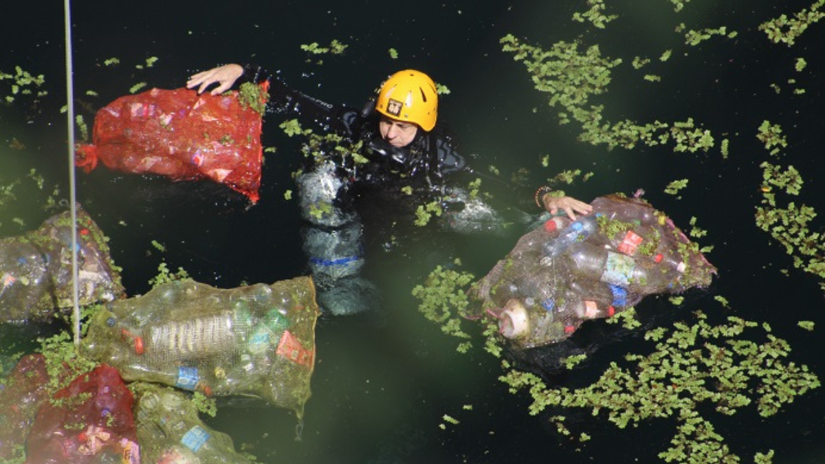 De los 24 cenotes que se tiene planeado limpiar ya se sanearon 18 Foto: Especial