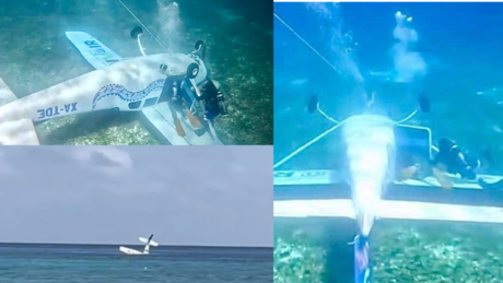 Avioneta cae al Mar en Cozumel: Logran recatar a 4 pasajeros y buscan a uno