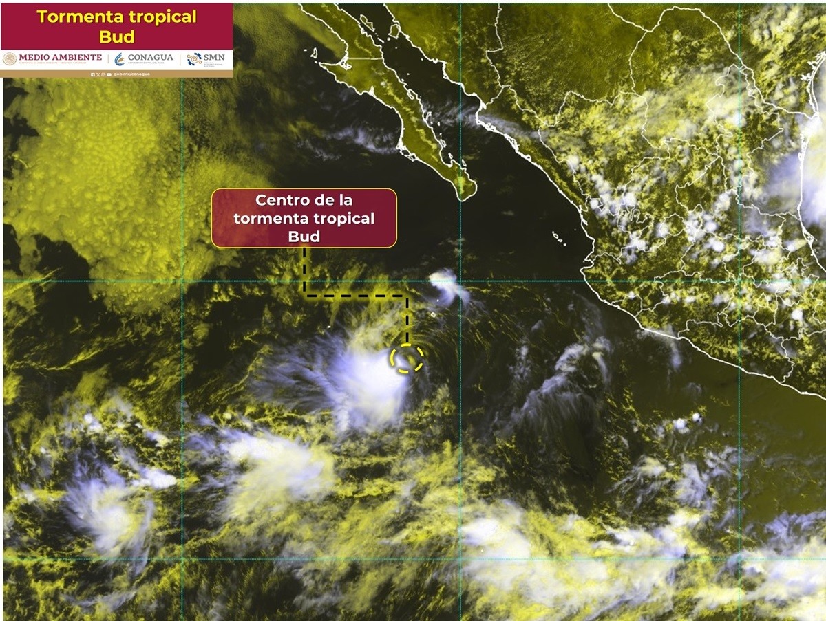 La tormenta tropical 'Bud' se ubica a 690 kilómetros al sur-sureste de Cabo San Lucas, Baja California Sur. Foto: X @conagua_clima