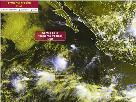 Se forma la tormenta tropical 'Bud' en el Océano Pacífico