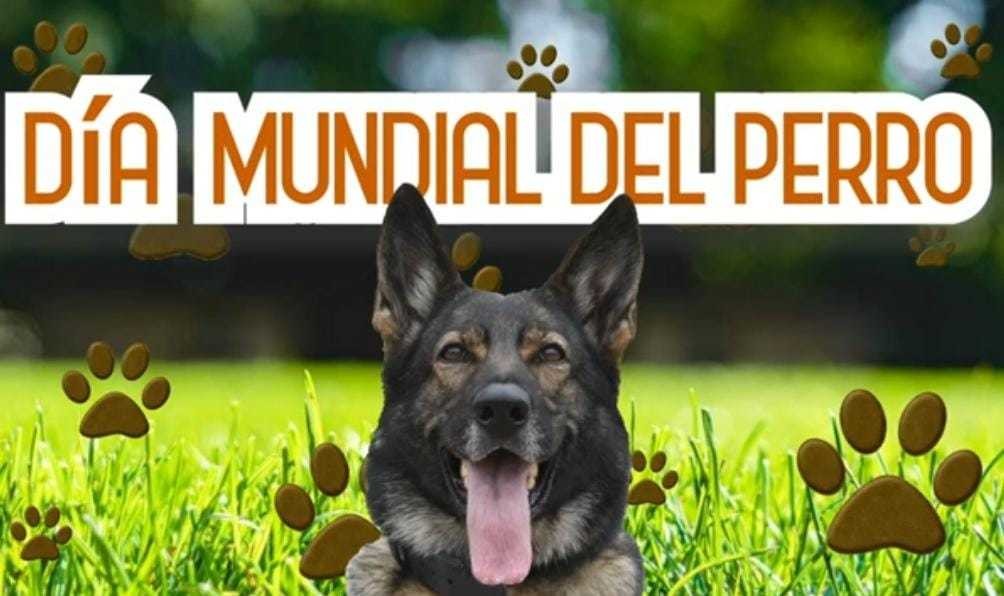 Celebrando el Día del Perro: El valor de los perritos policía. Foto: Captura de pantalla