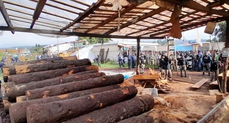 Ejecuta Edomex operativo contra tala clandestina en Ocuilan