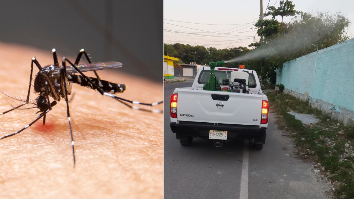 Se recomienda a las personas a no seguir sacando basura y cacharros a las calles Foto: Cortesía