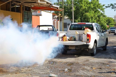 Descacharre y fumigación contra el dengue en Tamaulipas