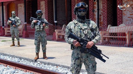 Marina destruye más de 200 laboratorios clandestinos entre Sinaloa y Durango