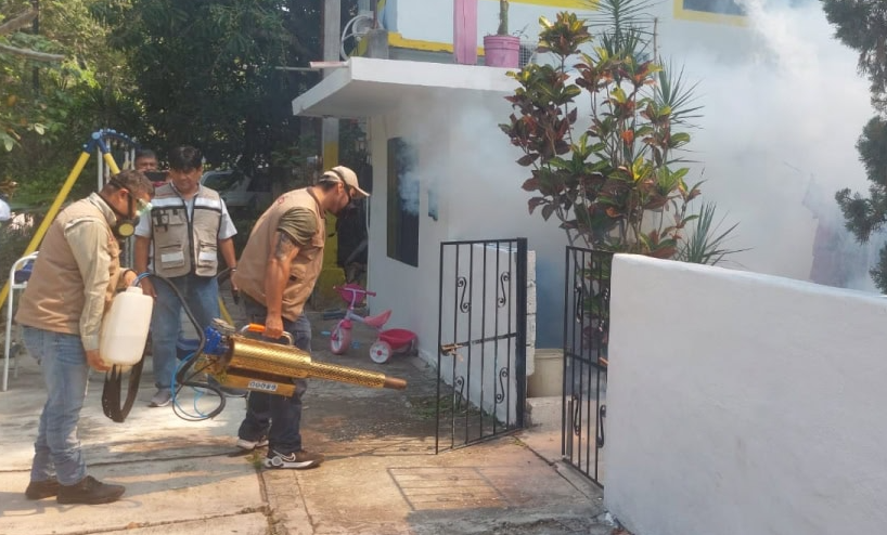 La Secretaría de Salud de Tamaulipas intensificó sus acciones para combatir la propagación del mosquito transmisor del dengue. Foto: Gobierno de Tamaulipas