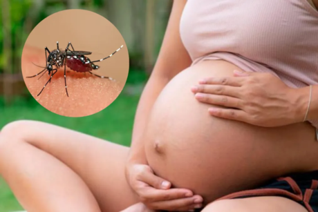Advierte Salud sobre los riesgos del dengue durante el embarazo