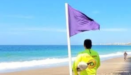 Si ves la bandera morada en la playa, aléjate lo más pronto posible del mar