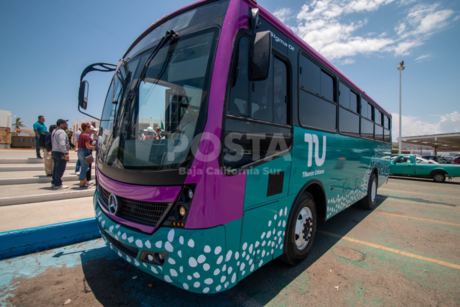 'Tiburones Urbanos' renovarán transporte público: modernidad, seguridad y acceso