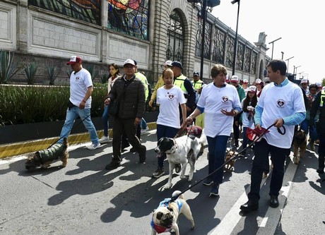 Encabeza Delfina Gómez caravana por bienestar animal; anuncia reformas