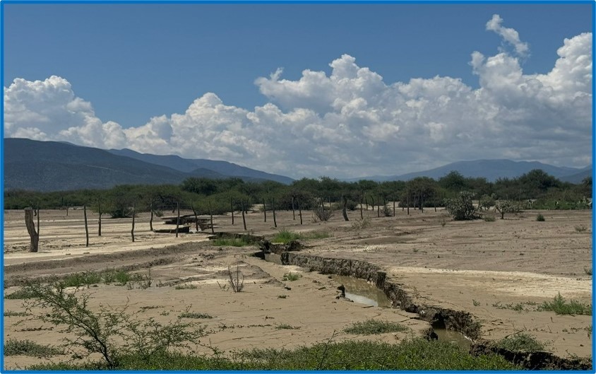 Gran fisura en la tierra del municipio de Tula, Tamaulipas hasta Ciudad del Maíz San Luis Potosí. Foto: Daniel Espinoza