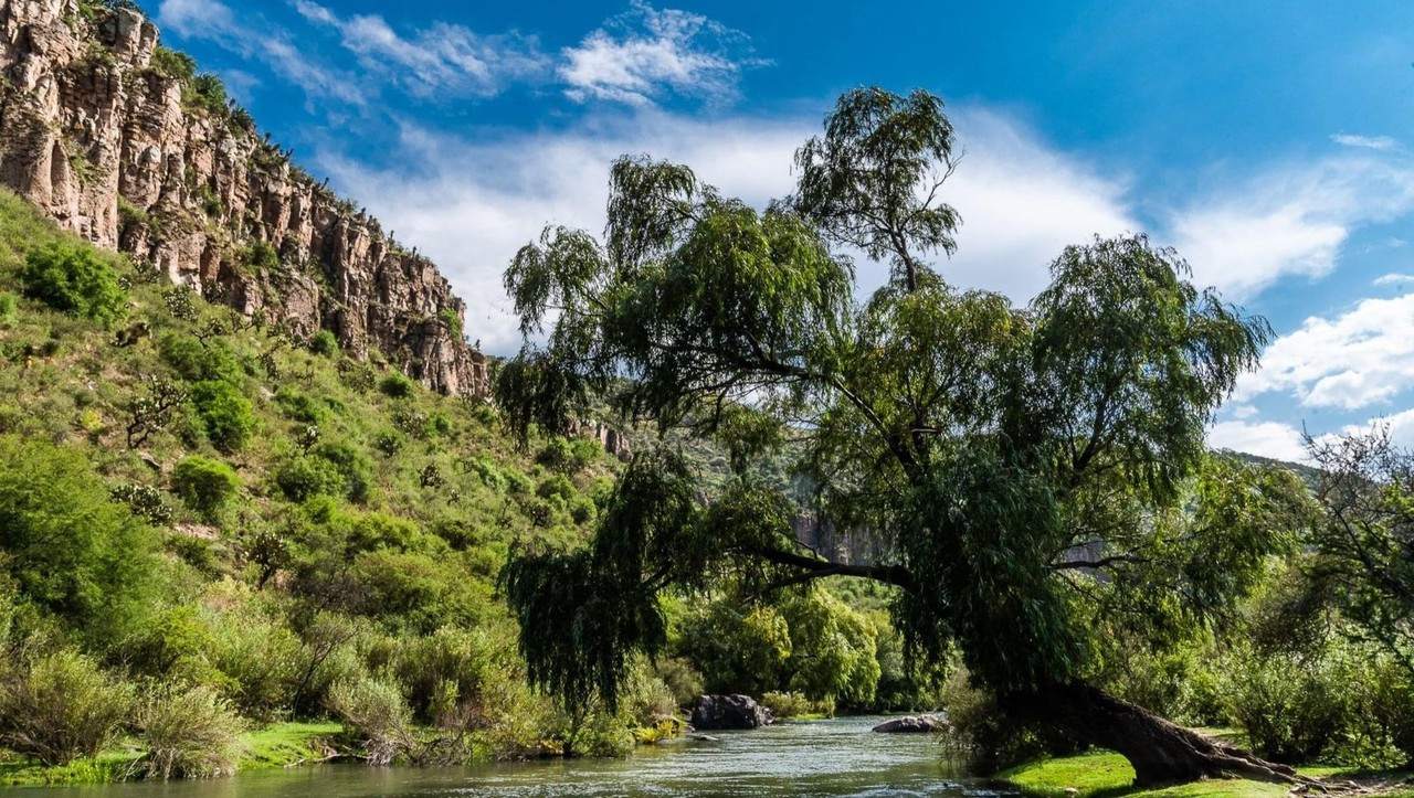 Vegetación del Río Tunal de Durango. Foto: Facebook Turismo Durango.