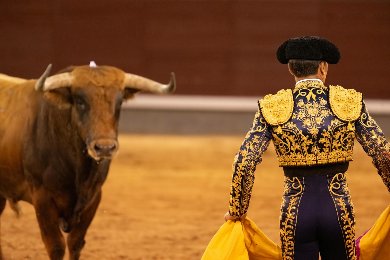 Celebrará su cumpleaños con corrida de toros, penada en el estado. Foto de Pexels.