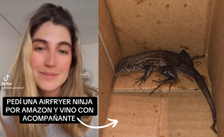 Mujer encuentra lagartija en Air Fryer al desempacar su pedido de Amazon (VIDEO)
