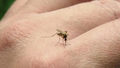 El dengue va en aumento en Tamaulipas