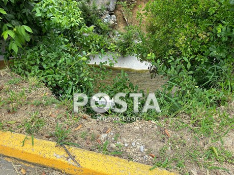 Se viene abajo muro de arroyo en colonia Del Paseo Residencial en Monterrey