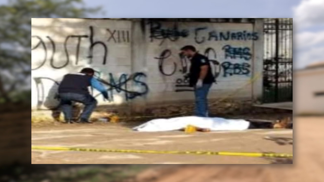 Los cuerpos fueron encontrados en un plantel citrícola Foto: Redes