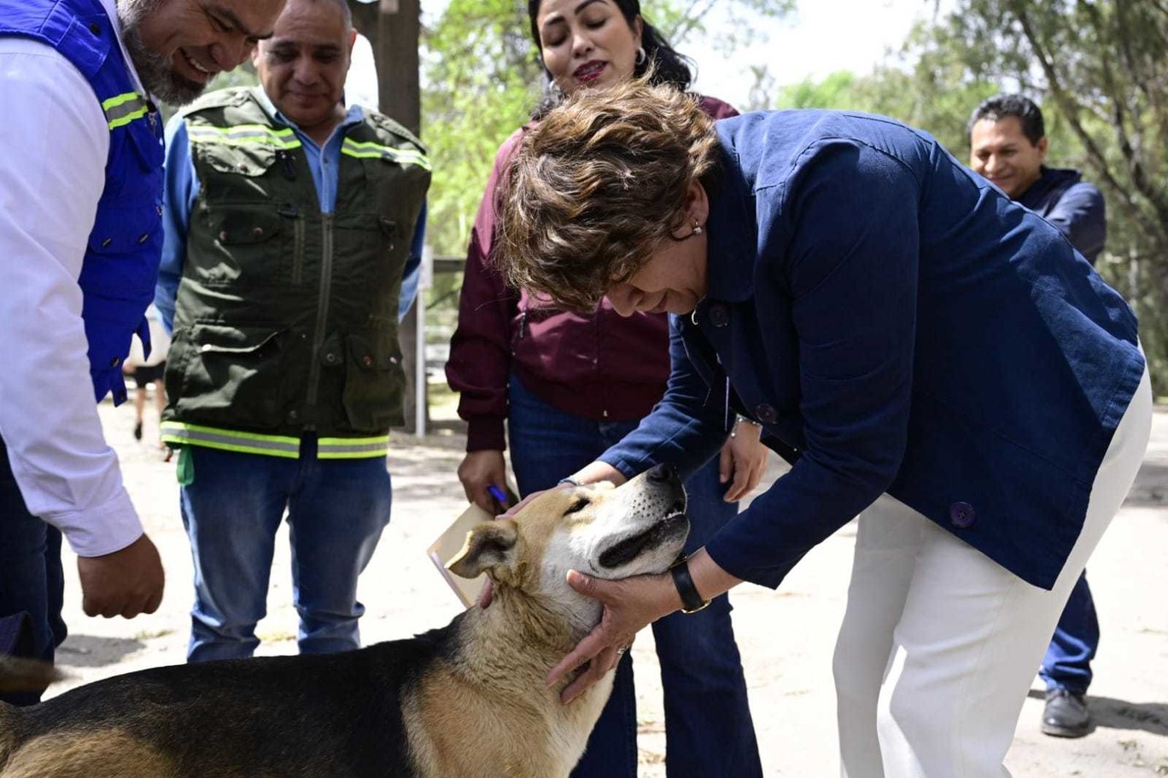 Las fechas para las jornadas de vacunación y esterilización serán publicadas en las redes sociales de CEPANAF. Foto: Gob. de Edomex