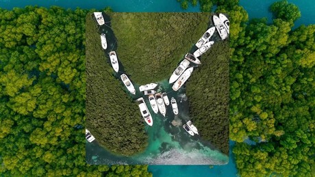 Resguardan yates en los manglares de Cancún ante la llegada de Beryl