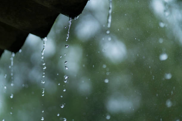 Prevén lluvias en algunas regiones de Durango, que irán de los 5 a los 20 milimetros. Foto: Especial.