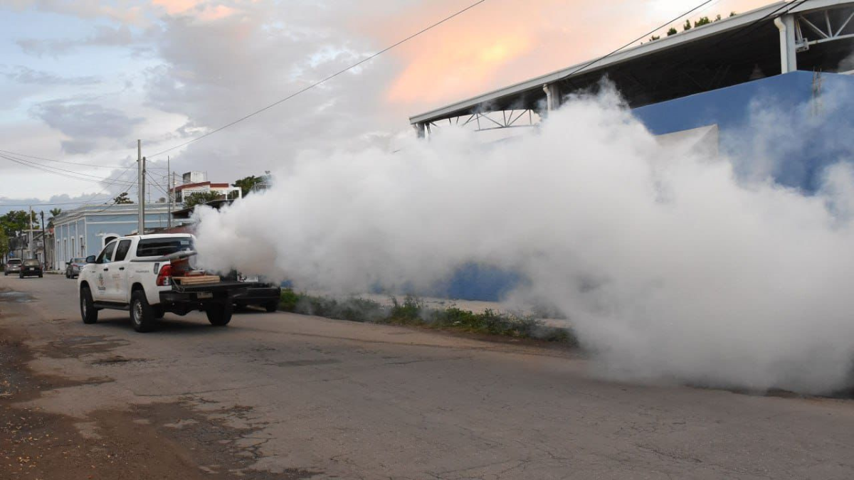 El dengue es una de las enfermedades más comunes en esta temporada de lluvias Foto: Irving Gil