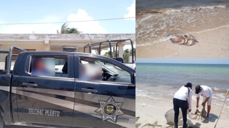 Capturan a pescador furtivo con más de 20 kilos de pulpo en Telchac Puerto
