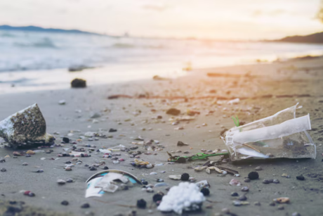 Únete a la macro limpieza de playas: sé parte del cambio en Julio Sin Plásticos