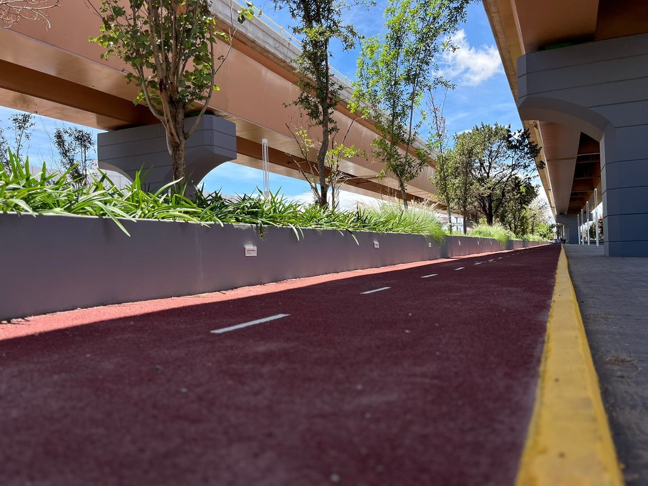 Debajo del puente, hay una pista en donde se puede correr. Foto: Jesús Carrillo.