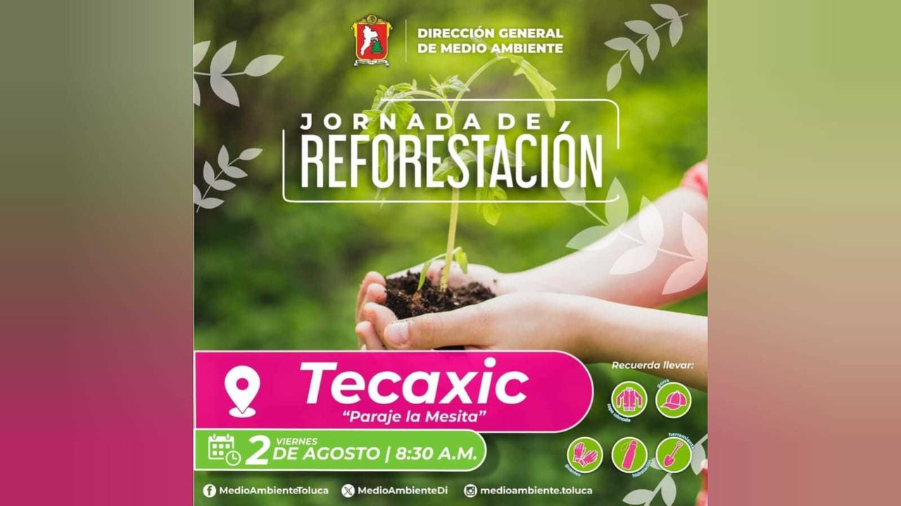 Transforma Toluca: Únete a la Jornada de Reforestación. Foto: RRSS