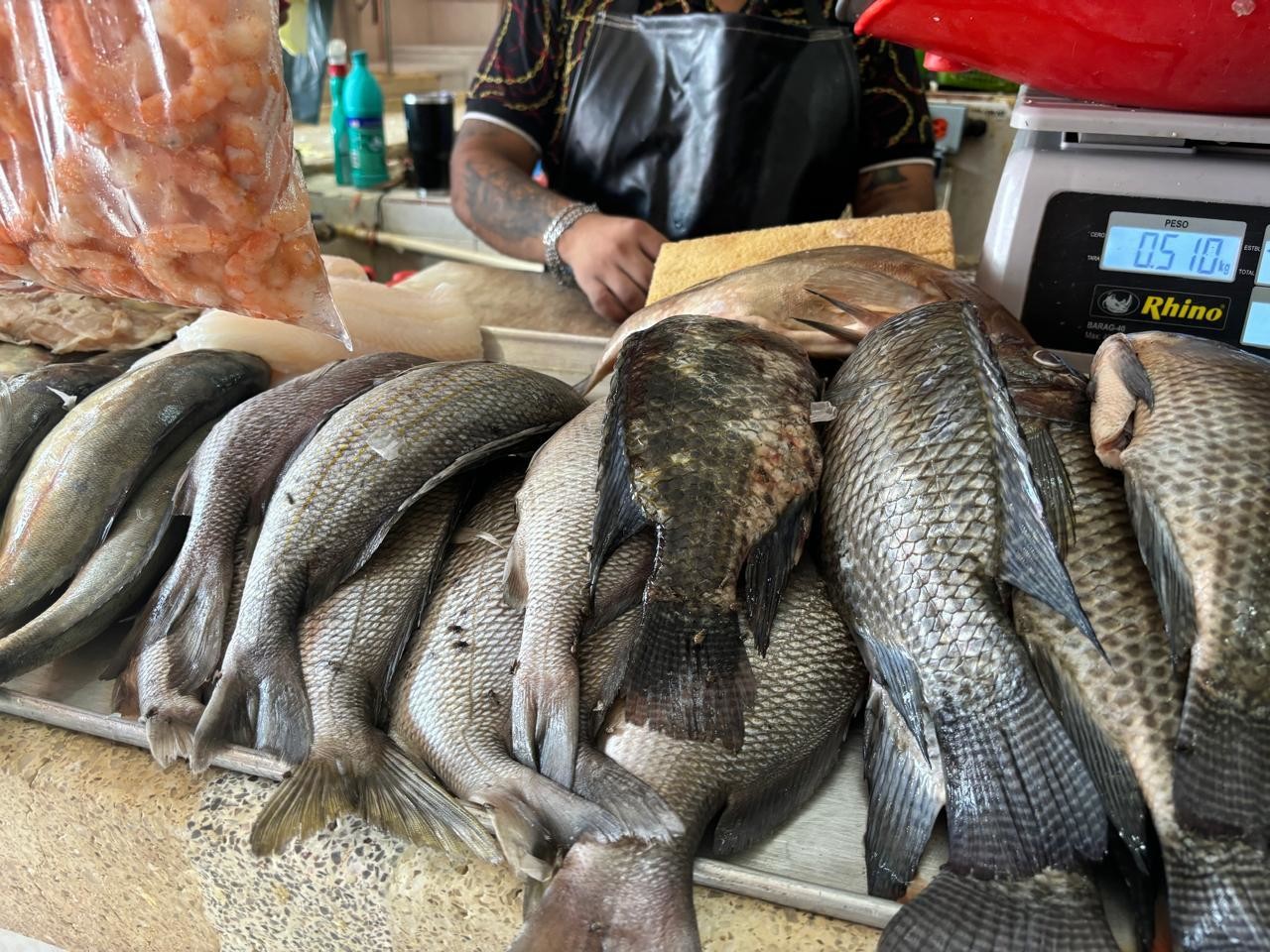 Las ventas del pescado han fluido poco, sin embargo los precios se mantienen. Foto: Alejandra Vargas