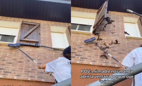 Jóvenes se sorprenden al encontrar una plaga de murciélagos en su casa (VIDEO)