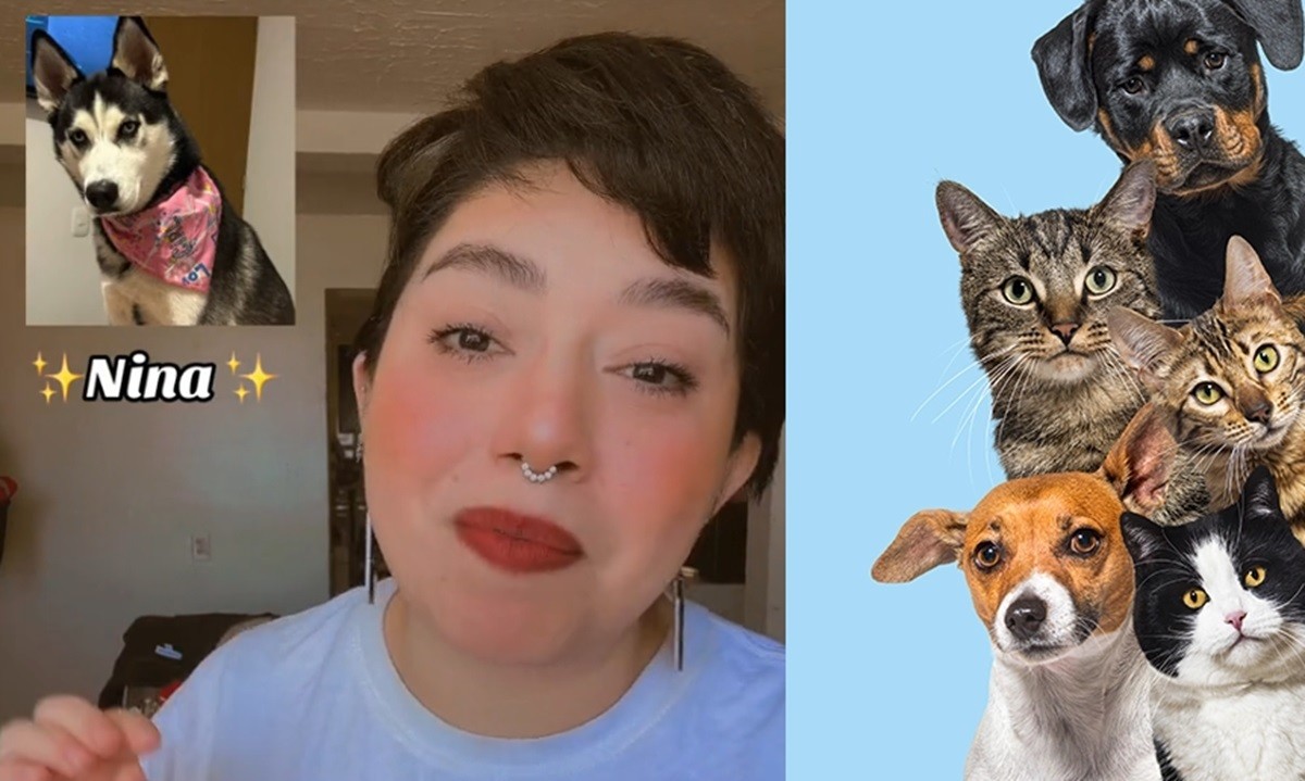 La tiktoker Karla Z asegura que puede realizar sesión de comunicación con perros y gatos. Foto: TikTok karlabrujavioleta / Clínica Veterinaria Argos