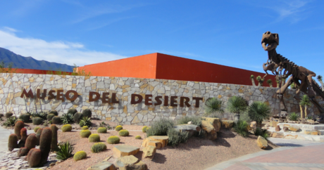 El Museo del Desierto en Saltillo ahora es 