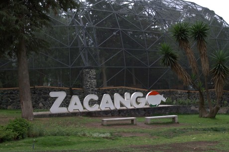 ¡Abren curso de verano en Parque Ecológico Zacango! Conoce los detalles