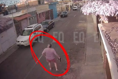 Vecino golpea y arroja a gato en Querétaro (VIDEO)