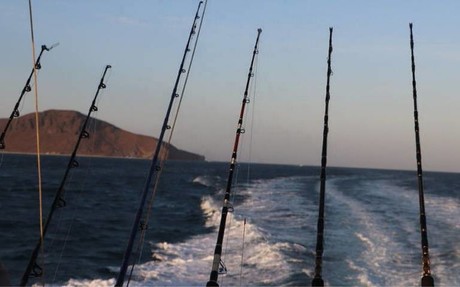 Anuncian el 5º Torneo Anual de Pesca Exclusivo para Mujeres en Los Barriles