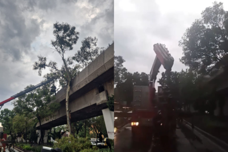 Cae árbol a vías de Línea 4 del STC Metro y se suspende servicio por lluvia