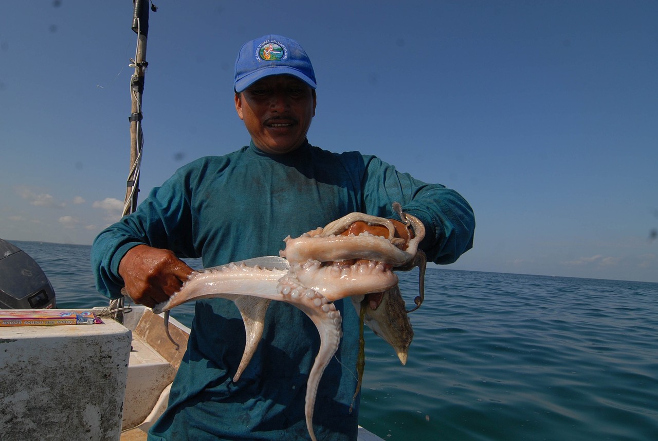 Pescador de pulpo, en Yucatán. Foto: Redes sociales